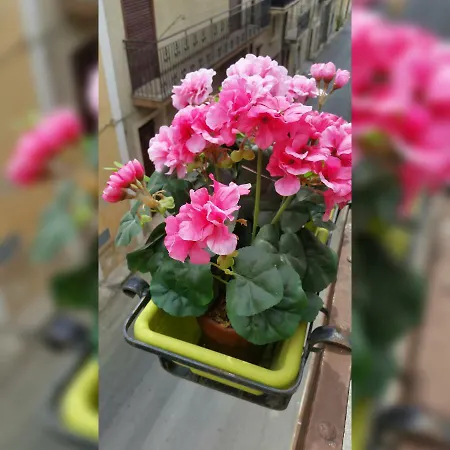 La Gardenia * Licodia Eubea