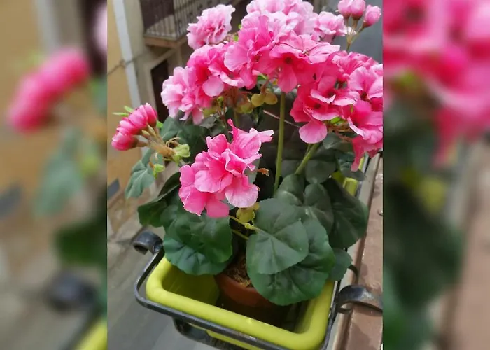 La Gardenia 3* Licodia Eubea